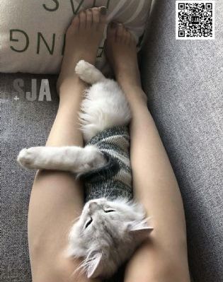 怪兽电力公司 电影_1080PHD高清在线观看