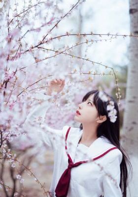 男人爽捅女人_BD英语日韩免费观看